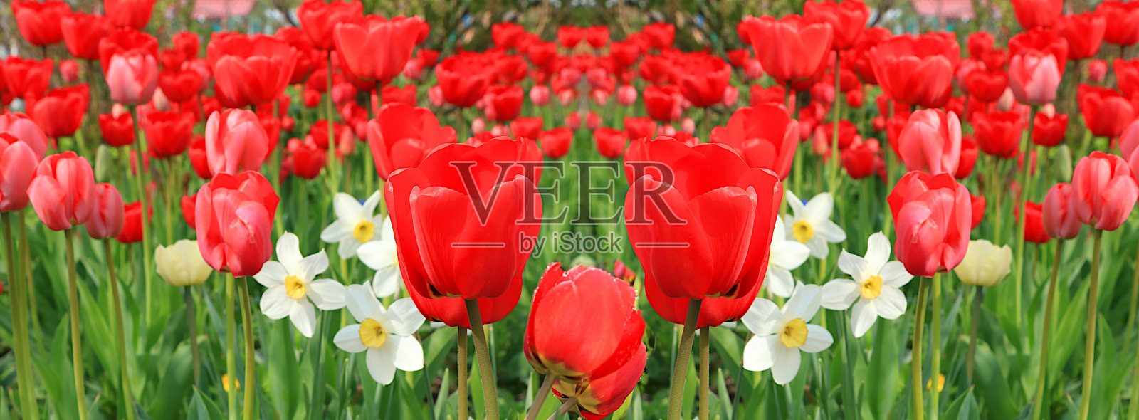 秀丽芳护肤